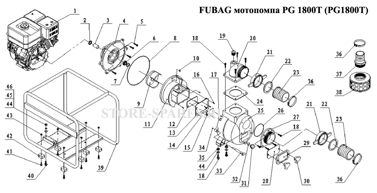 Нажмите чтобы посмотреть схему мотопомпа FUBAG PG 1800 T GTP101-E